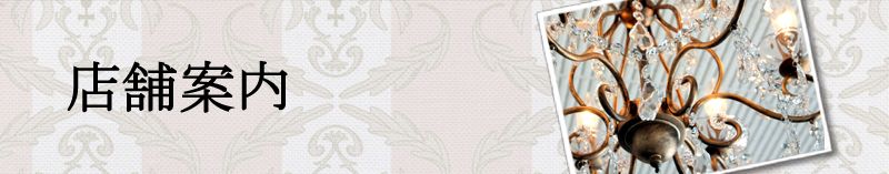 �X�܈ē��̃y�[�W